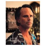 The White Lotus Walton Goggins signed photo