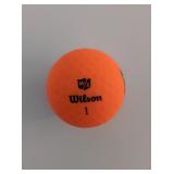 Caddy Shack Bushwood golf ball