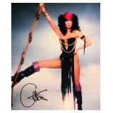 Cher signed promo photo