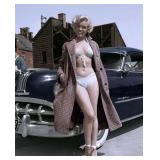 Marilyn Monroe reprint photo