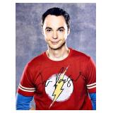The Big Bang Theory Jim Parsons facsimile...