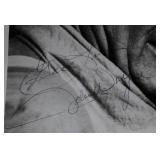 John Wayne signed portrait photo