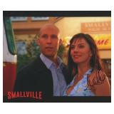 Smallville Krista Allen signed photo