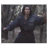 Crouching Tiger Hidden Dragon Harry Shum Jr....