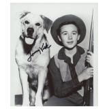 Old Yeller Tommy Kirk signed movie photo