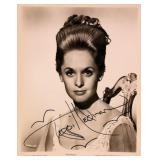 The Birds Tippi Hedren signed portrait photo