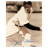 Spec Shea signed photo