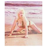 Justice Howard photo reprint