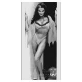 Lily Munster photo reprint