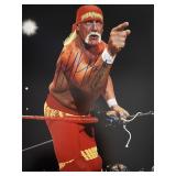 World Wrestling Federation Hulk Hogan signed photo