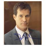 Blue Bloods Dylan Walsh signed photo