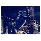 Spider-Man Tobey Maguire facsimile signedphoto