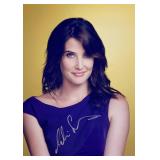 How I Met Your Mother Cobie Smulders facsimile...