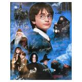 Harry Potter The Sorcerer