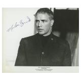 Marlon Brando Morituri signed movie photo . GFA...