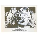 The Man Who Fell to Earth David Bowie facsimile...