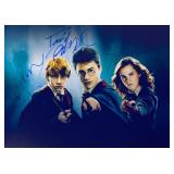 Harry Potter cast facsimile signed movie photo
