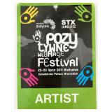 James Taylor Pozytywne Wibracje Backstage...