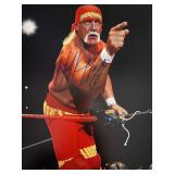 World Wrestling Federation Hulk Hogan signed photo