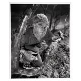 Lon Chaney Jr signed promo photo