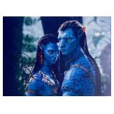 Avatar Zoe Saldana and Sam Worthington...