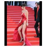 Bella Hadid photo reprint