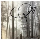 Folklore Taylor Swift facsimile signed  photo