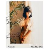 Playmate Dolly Read facsimile signed photo