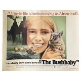 The Bushbaby 1969 vintage movie poster