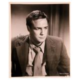 On The Waterfront Marlon Brando signed portrait...