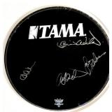 Framed The Beach Boys signed Drum Head