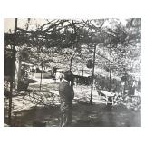 Sierra Madre Wistaria Vine Gardens vintage photo