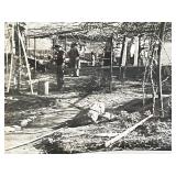 Sierra Madre Wistaria Vine Gardens vintage photo