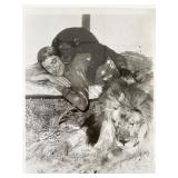 Ross Hagen vintage photo