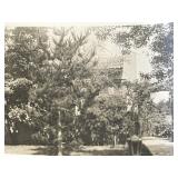 Sierra Madre Wistaria Vine Gardens vintage photo