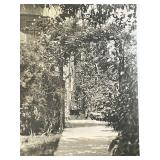 Garden scene vintage photo