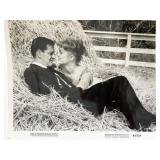 The Mating Game vintage movie photo