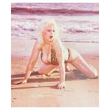 Justice Howard photo reprint