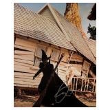 Wicked Cynthia Erivo signed movie 	 photo