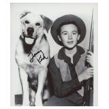 Old Yeller Tommy Kirk signed photo