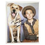 Old Yeller Tommy Kirk signed movie photo