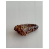 Genuine Spinosaurus tooth