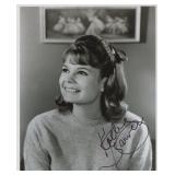 Family Affair Kathy Garver signed photo