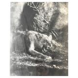 King of the Jungle (1933) original vintage...