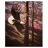 Bald Eagle Art Print