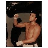 Boxer Muhammed Ali Unsigned Photo