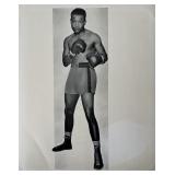 Sugar Ray Robinson photo