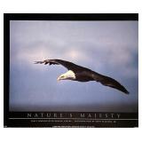 John Pezzenti Jr. Bald Eagle Art Print
