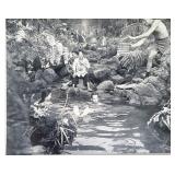 South Pacific original 1958 vintage movie photo