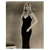 Valley of the Dolls Sharon Tate Unsigned Photo